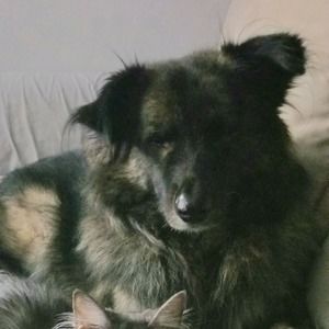 Meet your Posher, Mike